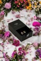 925 Ayar Gümüş Elips Model Minimal Çivi Küpe