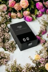 925 Ayar Gümüş Elips Model Minimal Çivi Küpe