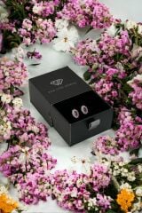 925 Ayar Gümüş Elips Model Minimal Çivi Küpe