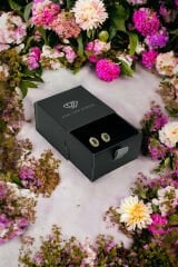 925 Ayar Gümüş Elips Model Minimal Çivi Küpe